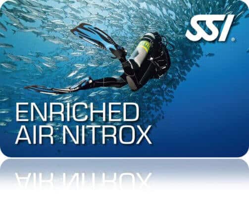SSI Nitrox Diver im Fischschwarm