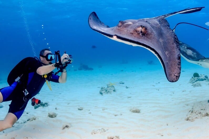 Tauchen lernen mit der Specialdive Tauchschule