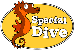 Tauchen lernen mit der Specialdive Tauchschule