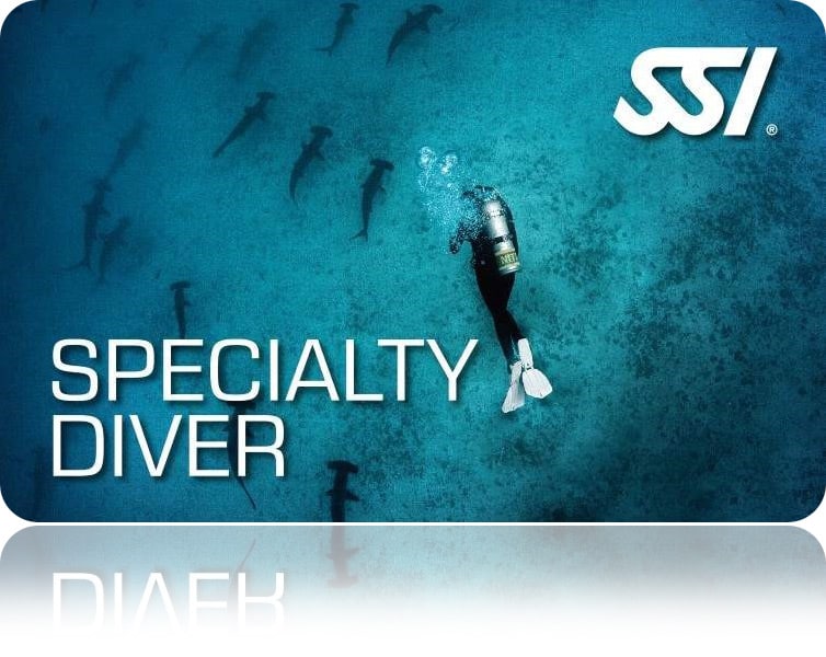taucher schwimmt bei Hai als Specialty Diver