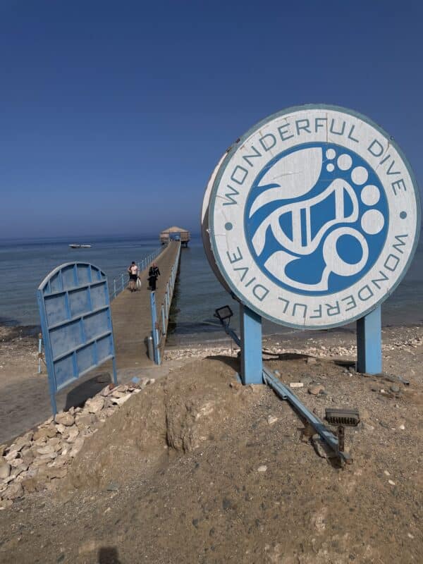 logo von wonderfuldive