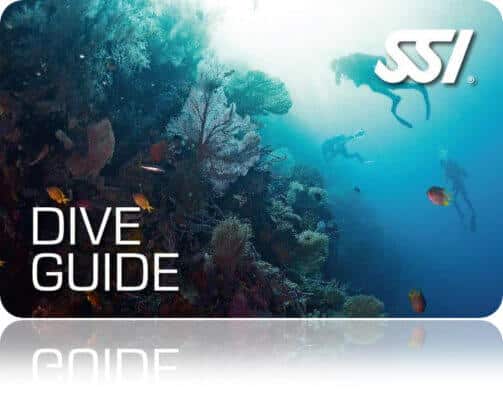 SSI DiveGuide mit 3 Tauchern am Coralen Riff