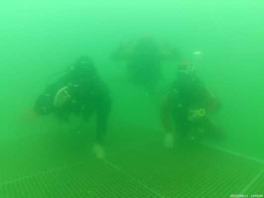 3 Taucher im Neufeldersee auf der Plattform